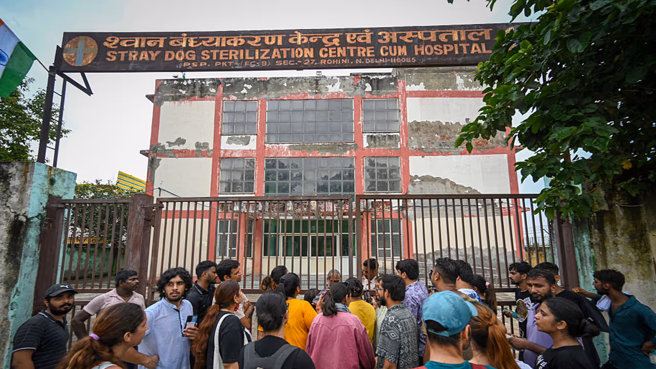 Stray Dog Issue Delhi