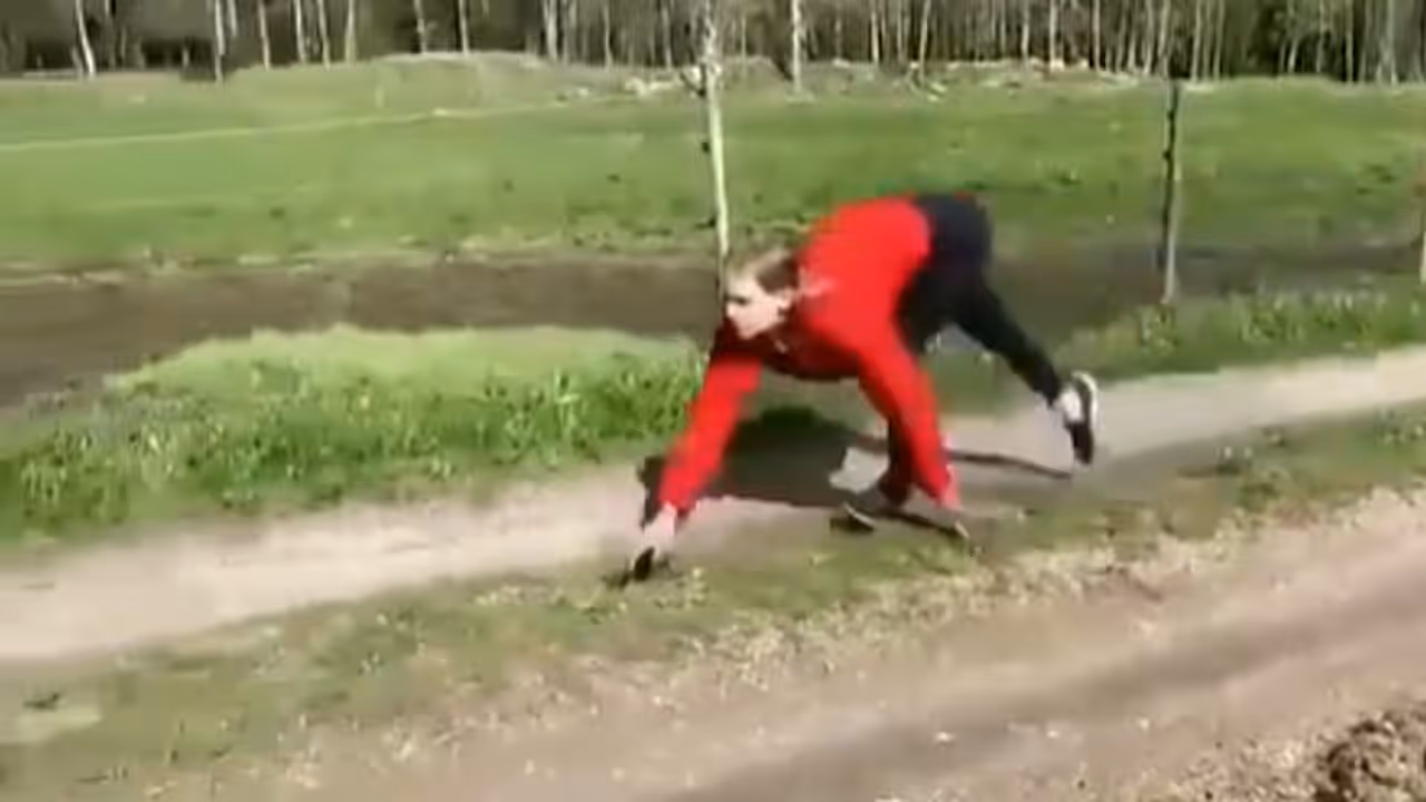 The Horsegirl The Horsegirl