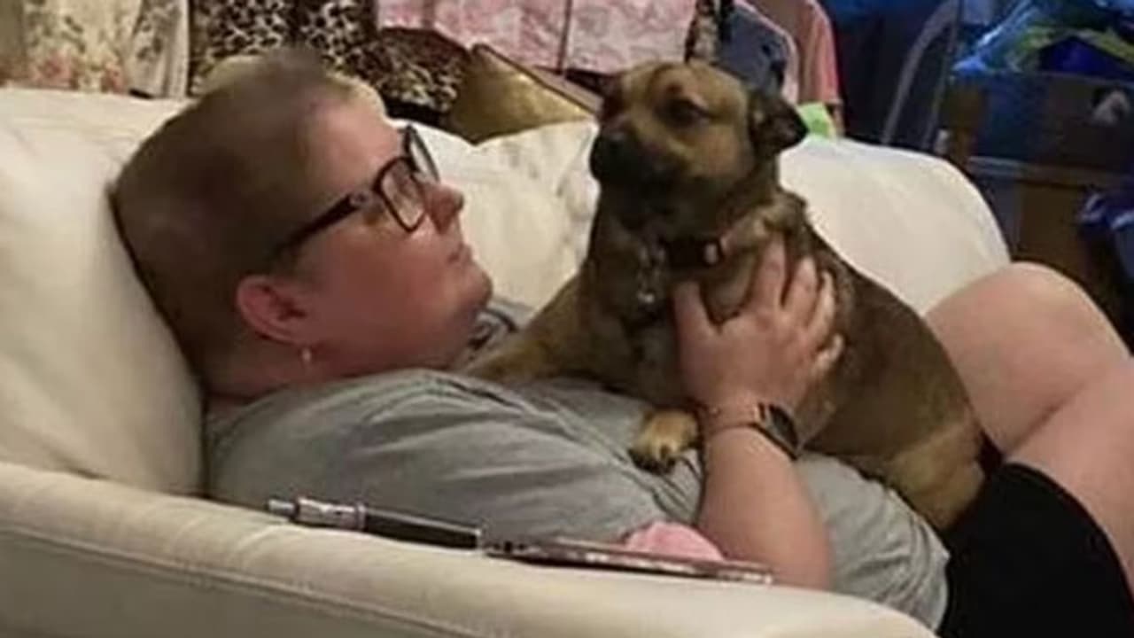 Yorkshire viral Yorkshire viral