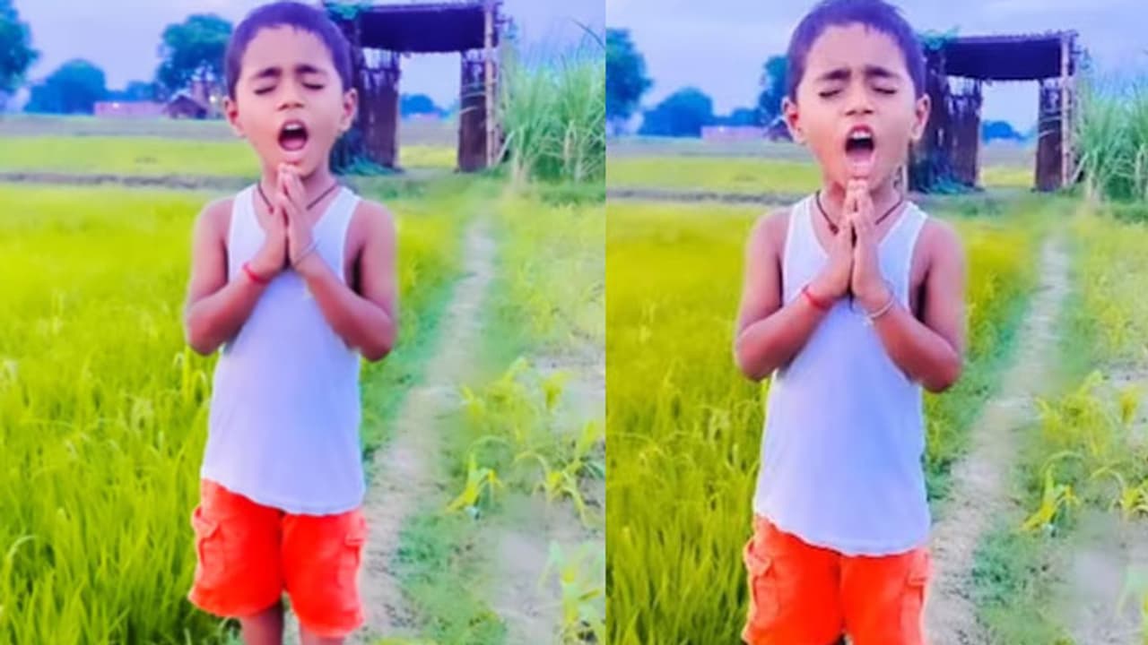 Shiva Tandava Stotra Video Shiva Tandava Stotra Video