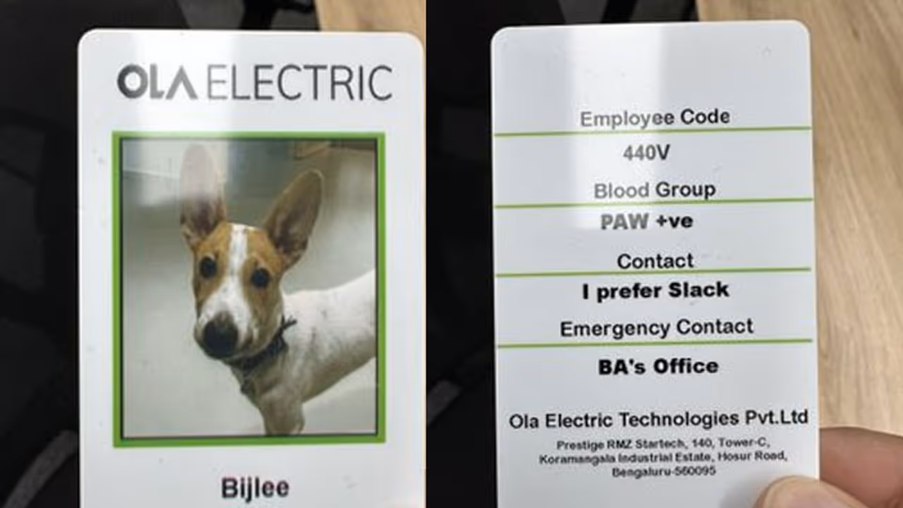 ola electric new employee ola electric new employee