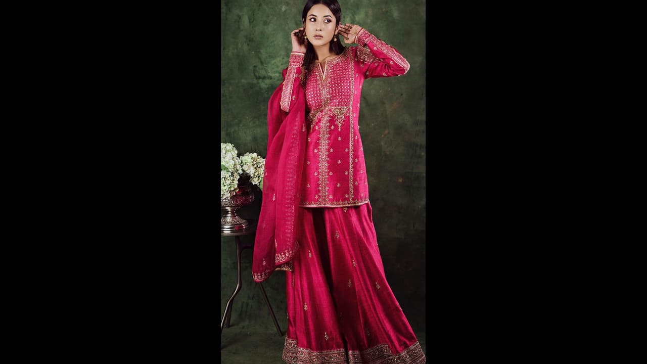 shehnaaz gill