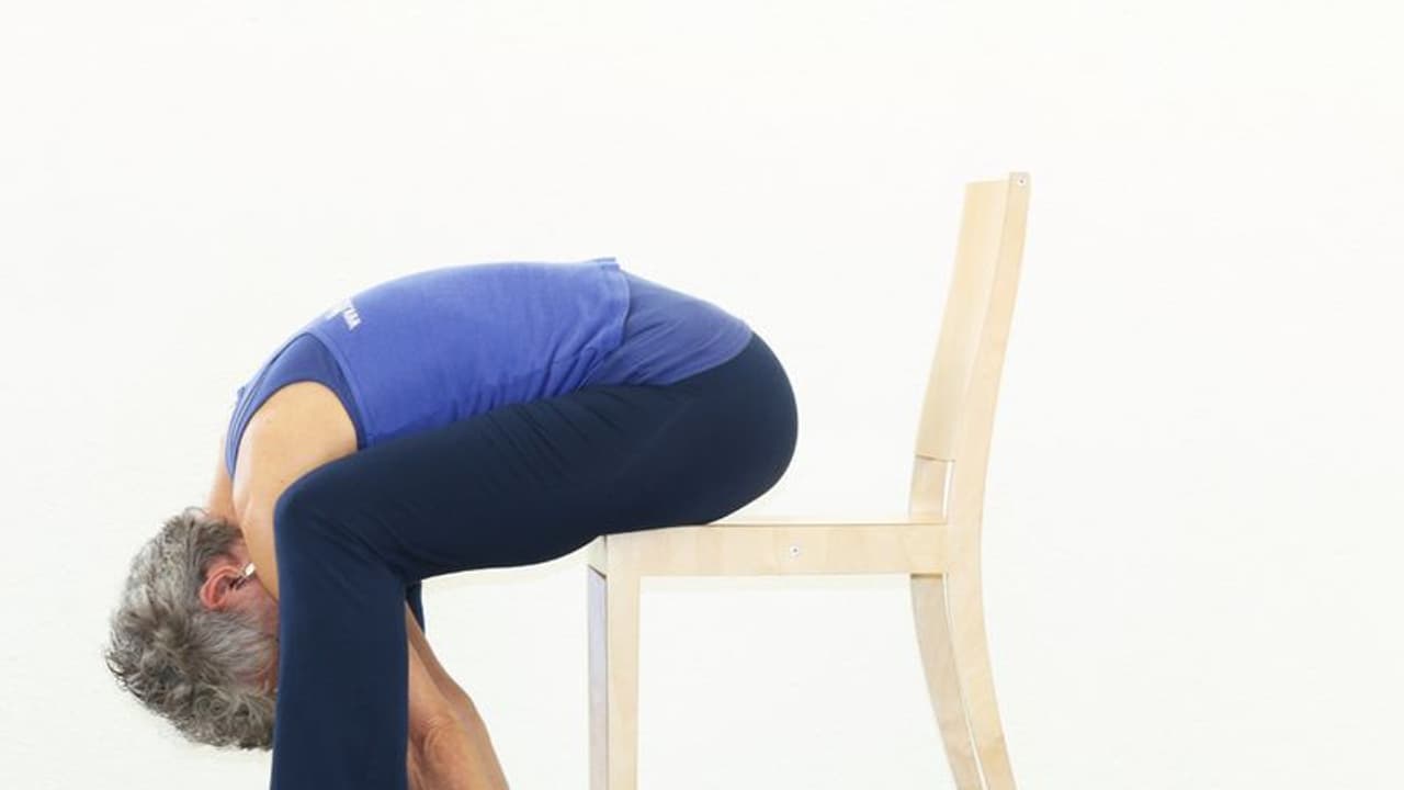 International yoga day exercise