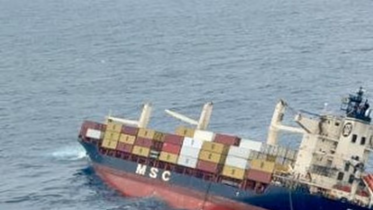  Liberian container ship (Photo/ANI)