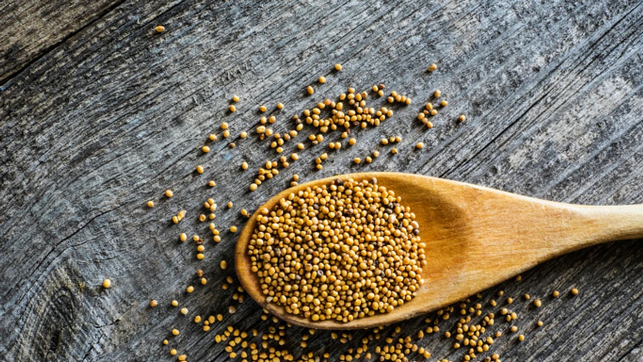 mustered seeds mustered seeds