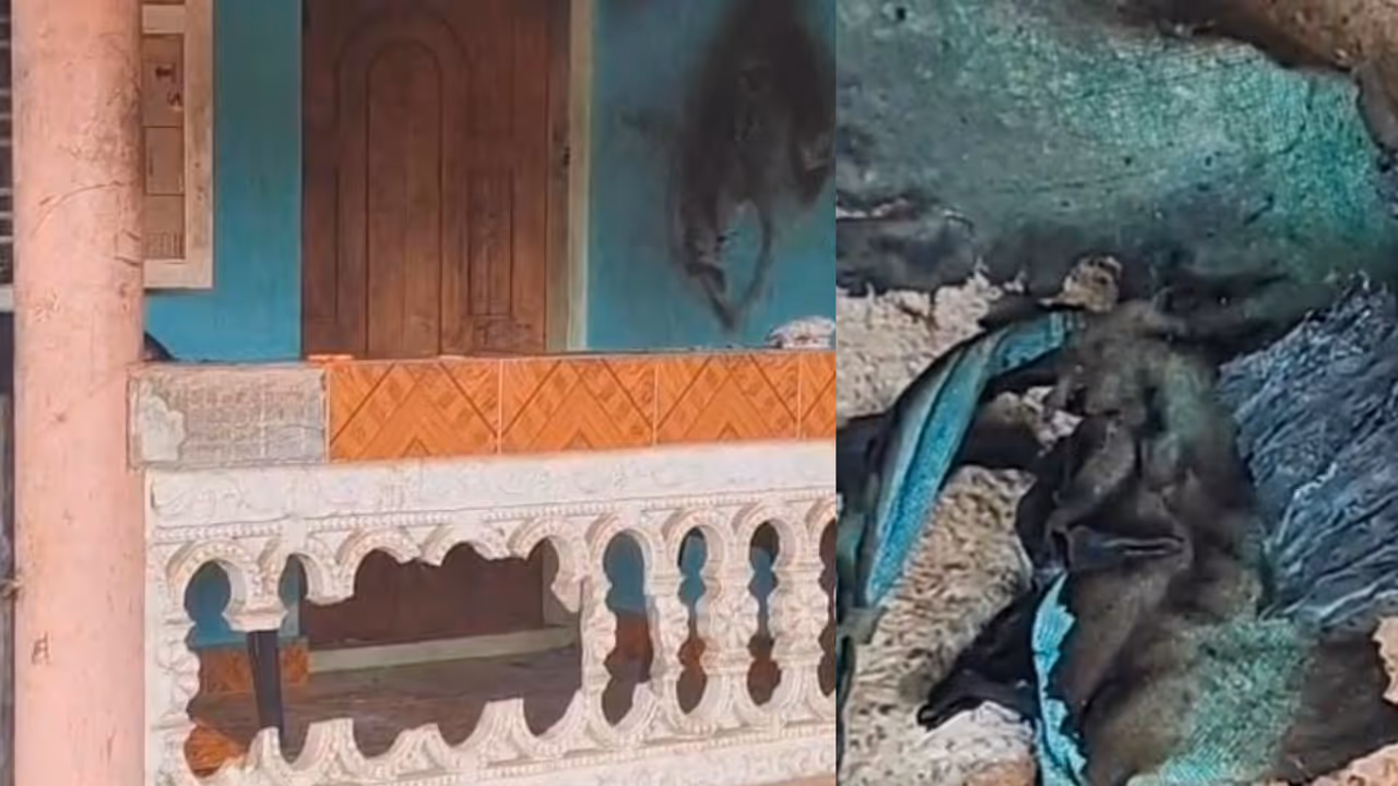 man attempted suicide in Anchal man attempted suicide in Anchal