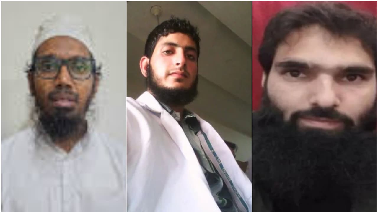 Terrorits doctors Terrorits doctors