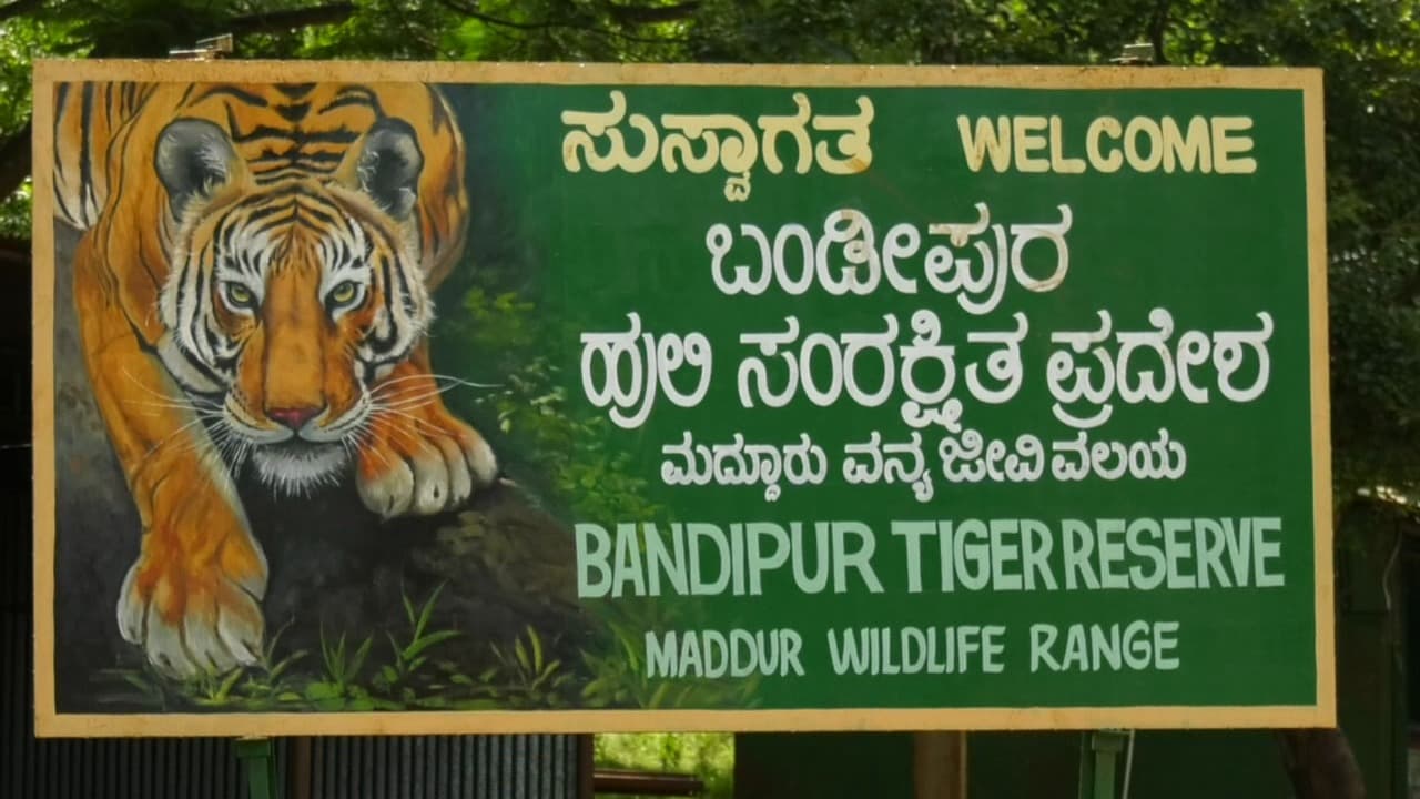 bandipur