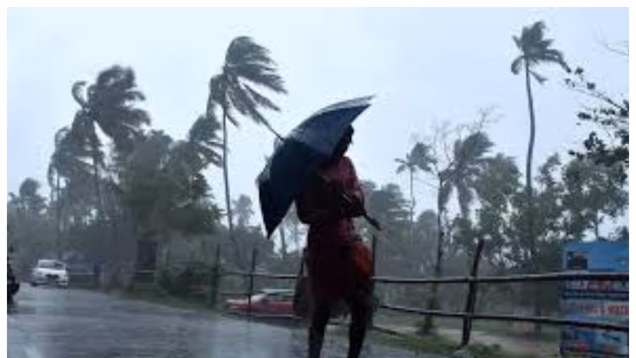 kerala rain kerala rain
