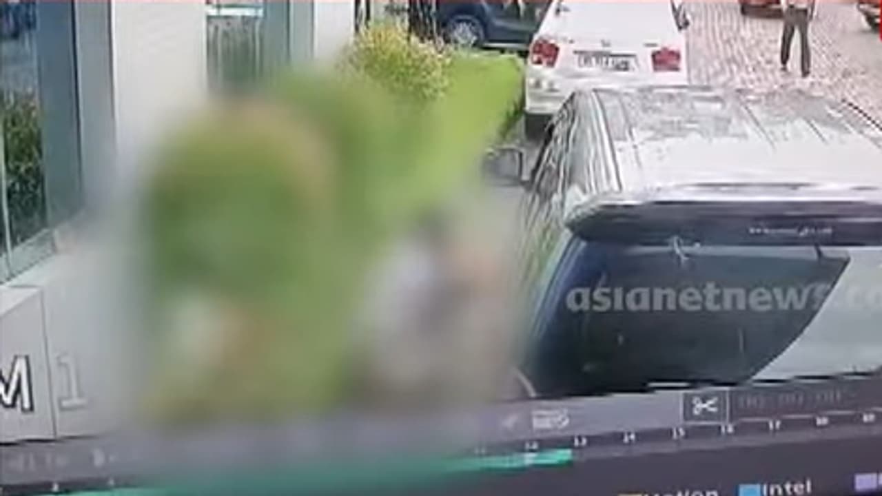 stray dog attack stray dog attack