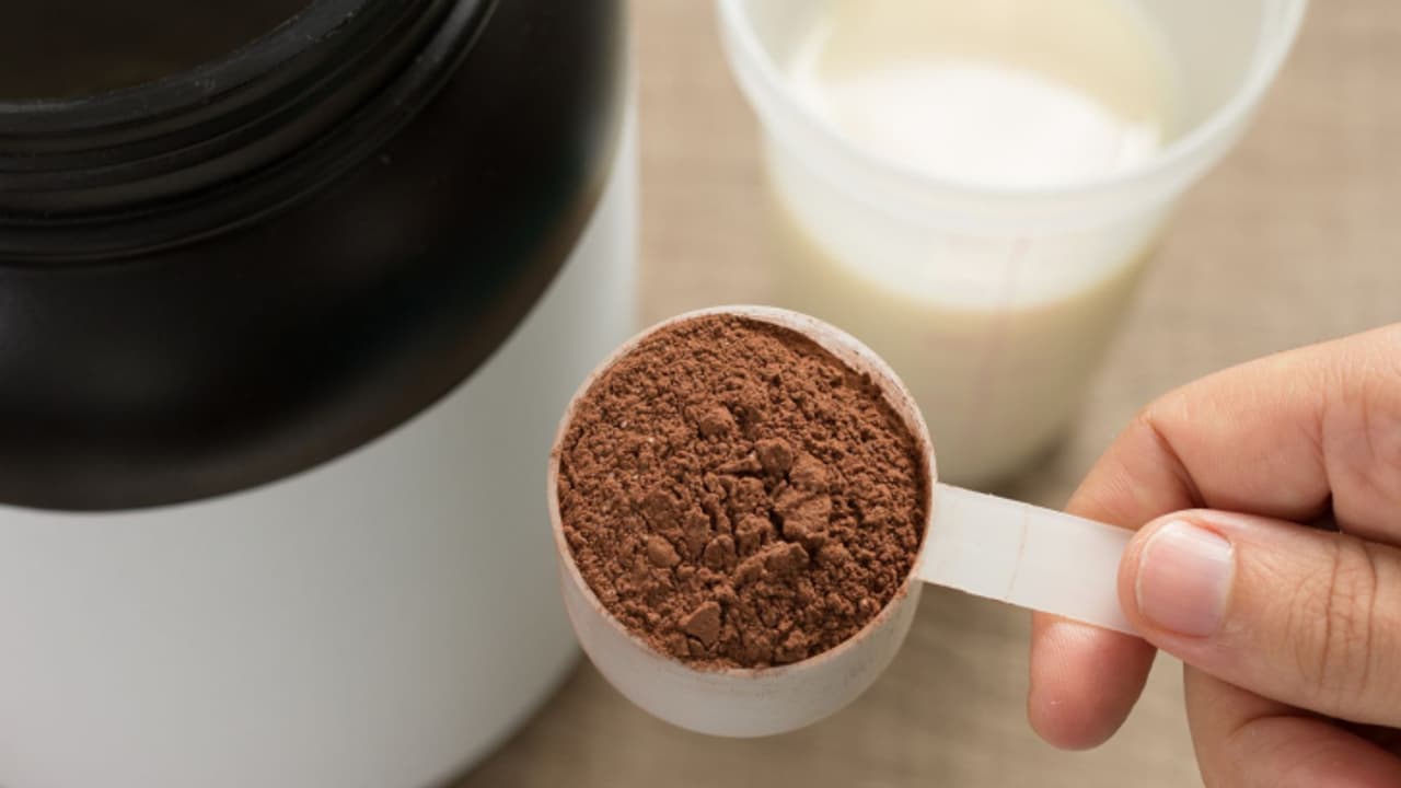 protein supplement 1 protein supplement 1