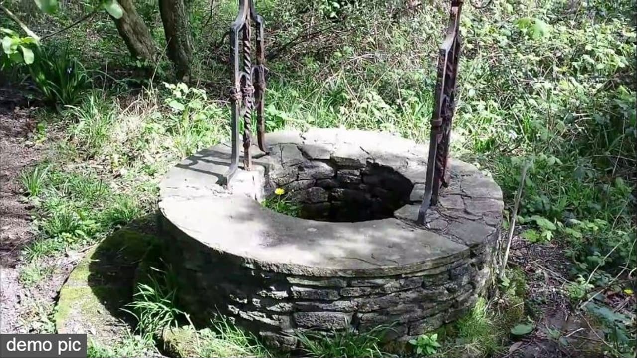 four dead body found