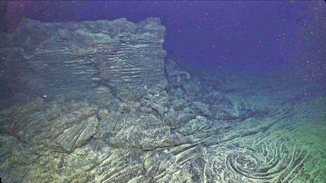 Axial Seamount
