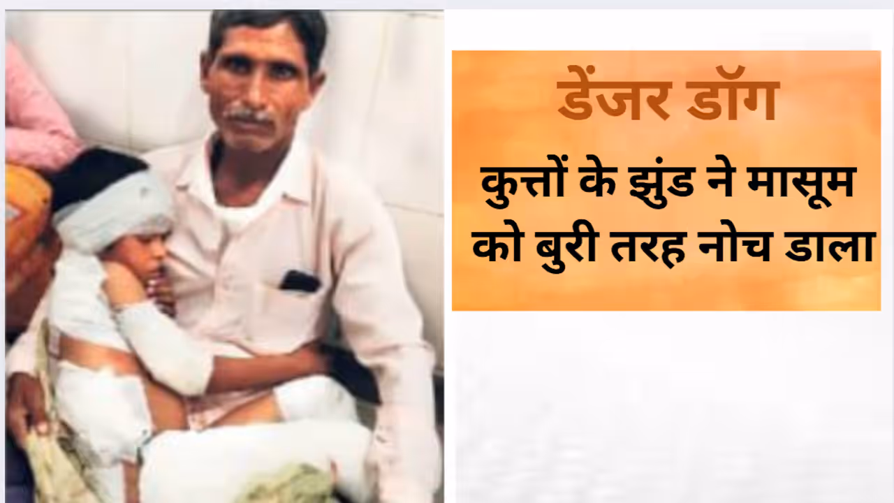 Shocking Crime News jaipur