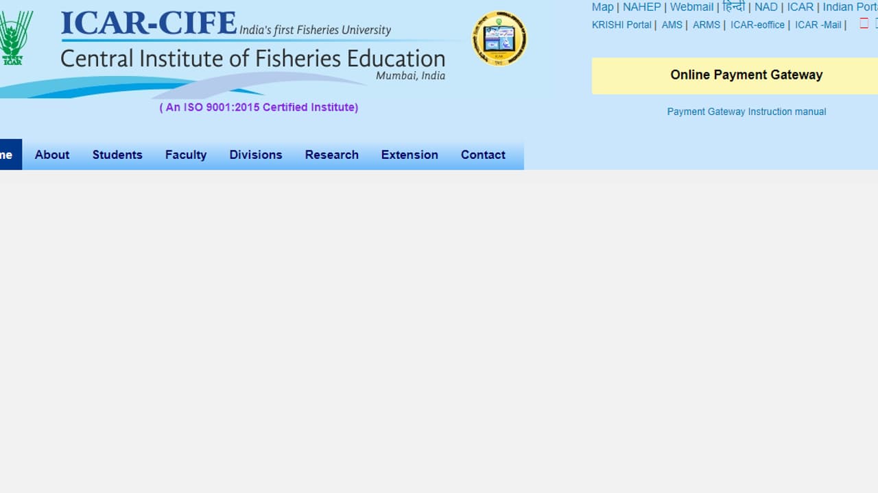 cife Mumbai recruitment cife Mumbai recruitment