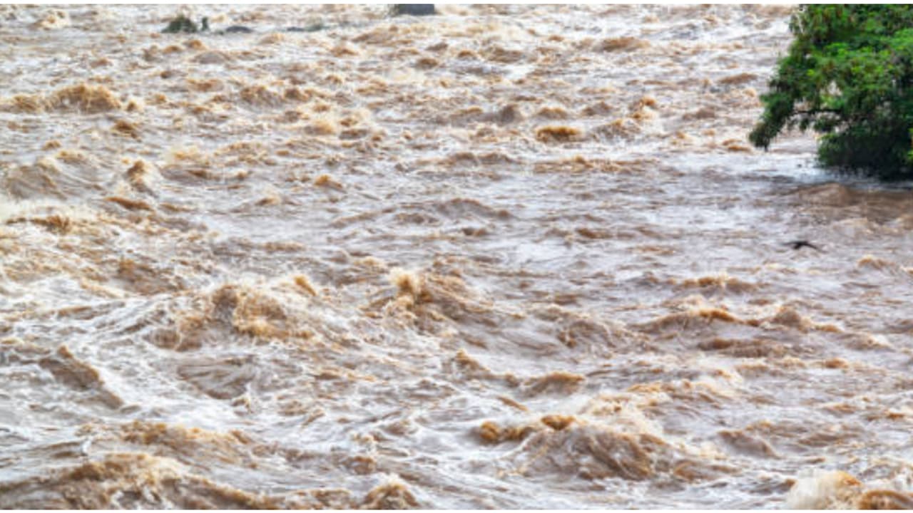 Pallikkal River in Kollam Pallikkal River in Kollam