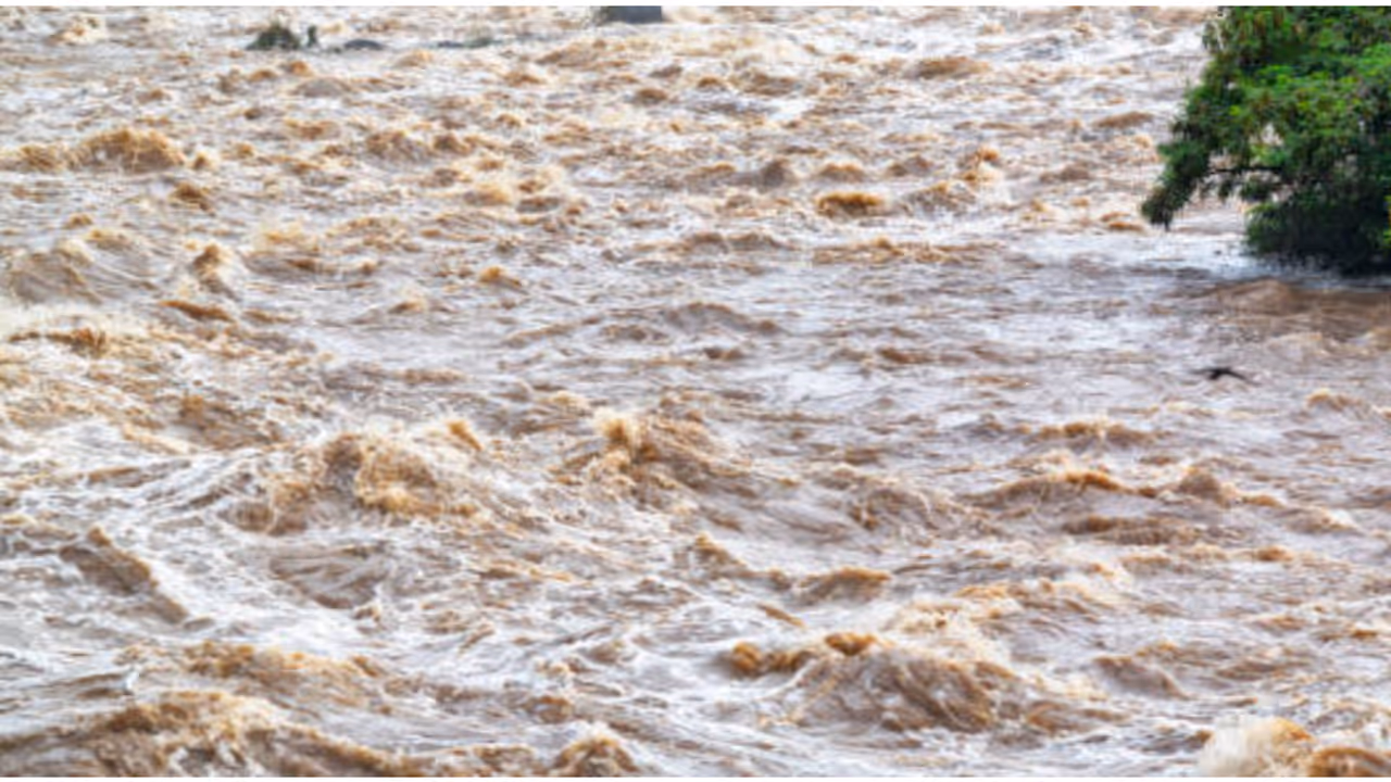 Pallikkal River in Kollam
