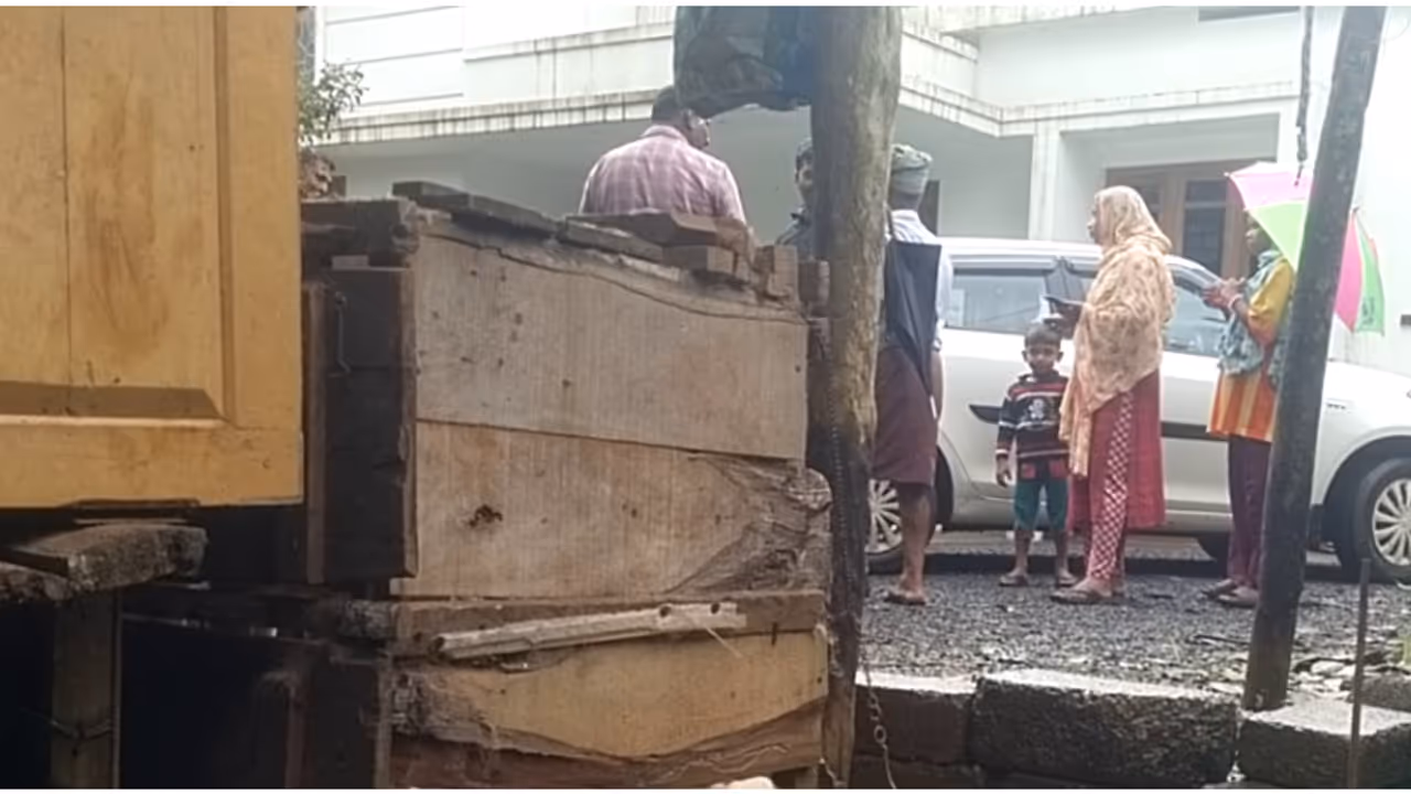 tiger attack tiger attack