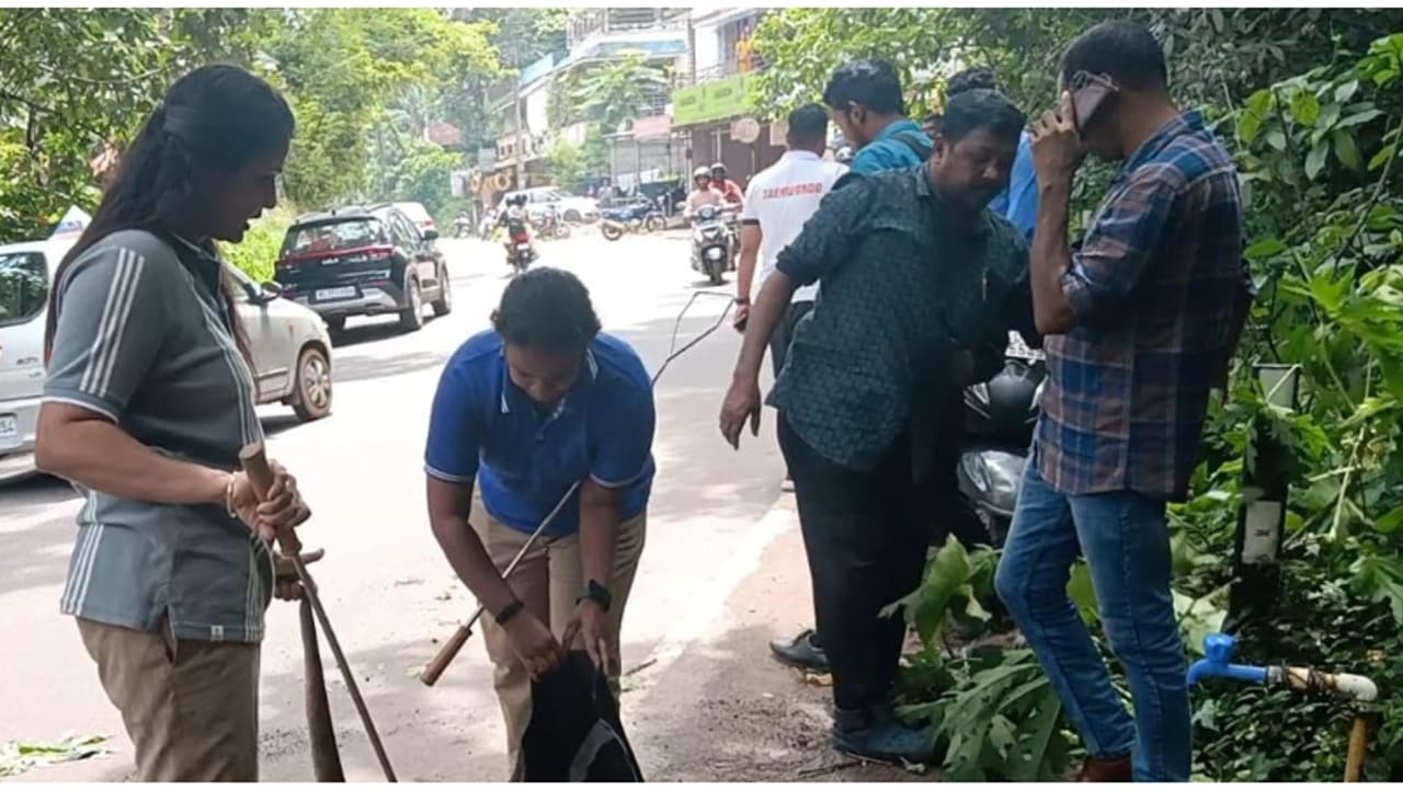 SNAKE CATCH SNAKE CATCH