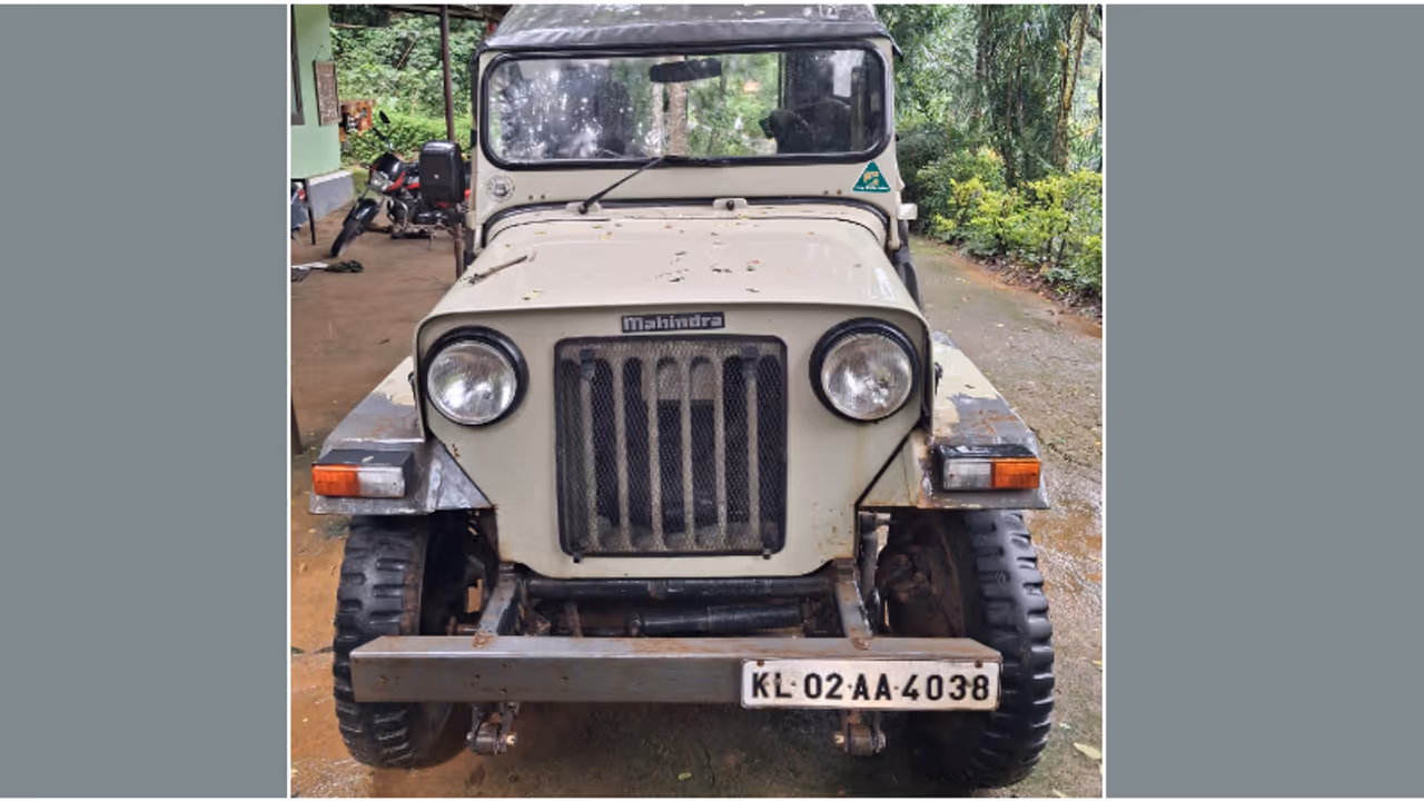 forest road forest road