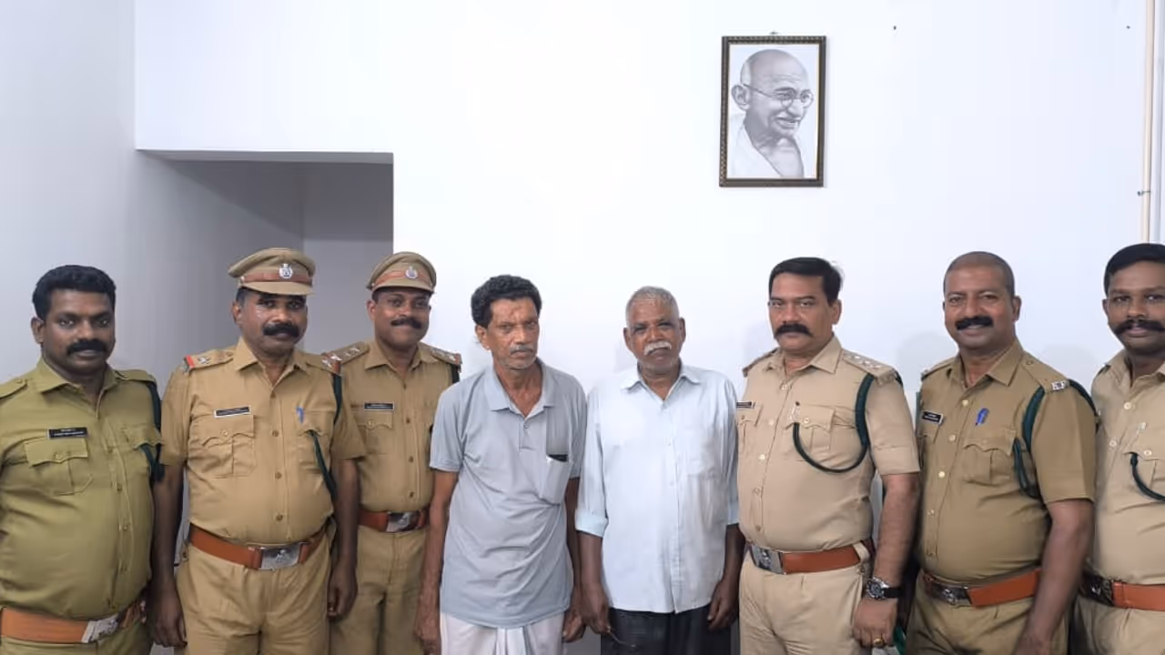 കാട്ടുപോത്ത് കാട്ടുപോത്ത്