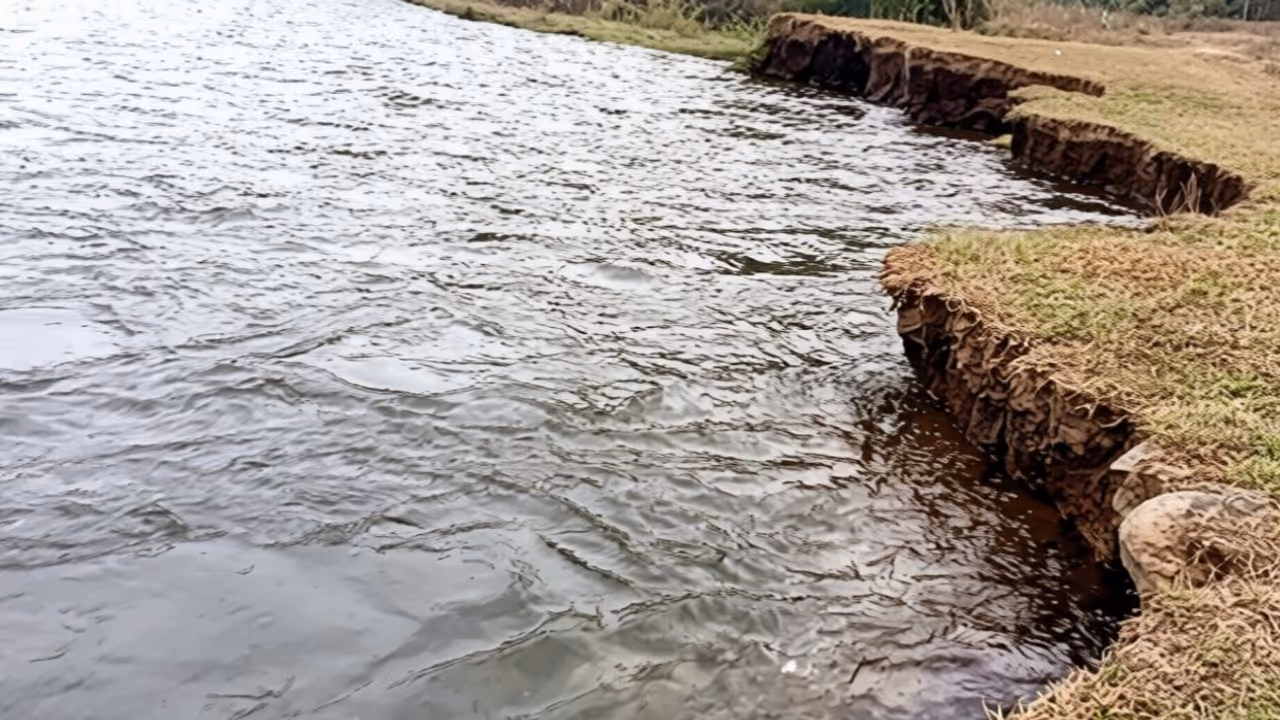 kuttiyadi riverbank erosion threatens villages kozhikode kuttiyadi riverbank erosion threatens villages kozhikode