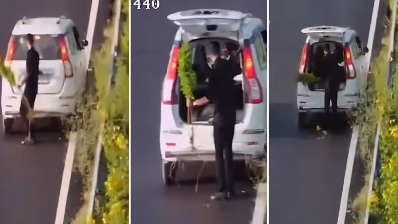 Baghpat Plant Theft Video Man In Car With Police Sticker Allegedly Steals Roadside Plant on Delhi Dehradun Highway Baghpat Plant Theft Video Man In Car With Police Sticker Allegedly Steals Roadside Plant on Delhi Dehradun Highway