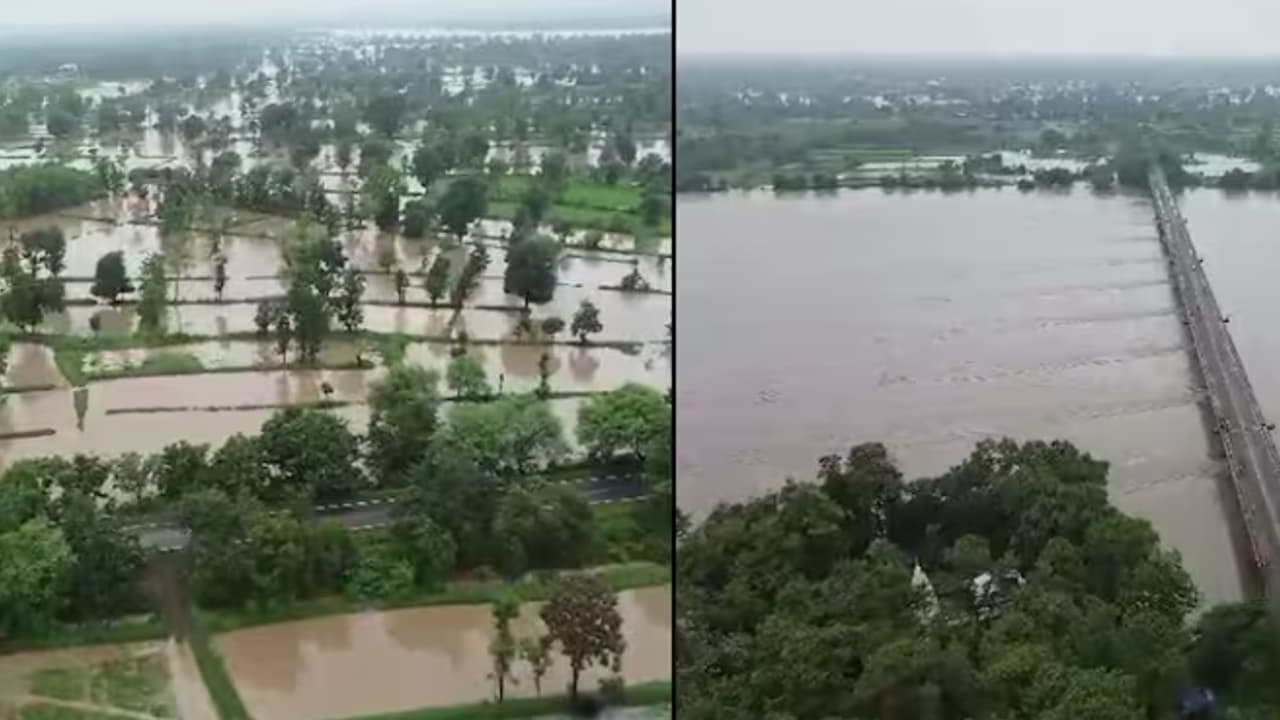 Vidarbha Rain Update new Vidarbha Rain Update new
