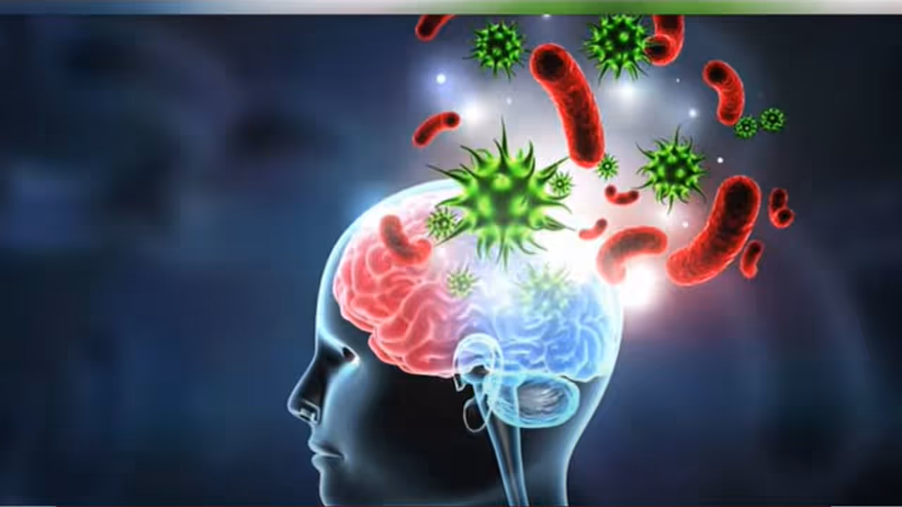 amoebic meningoencephalitis