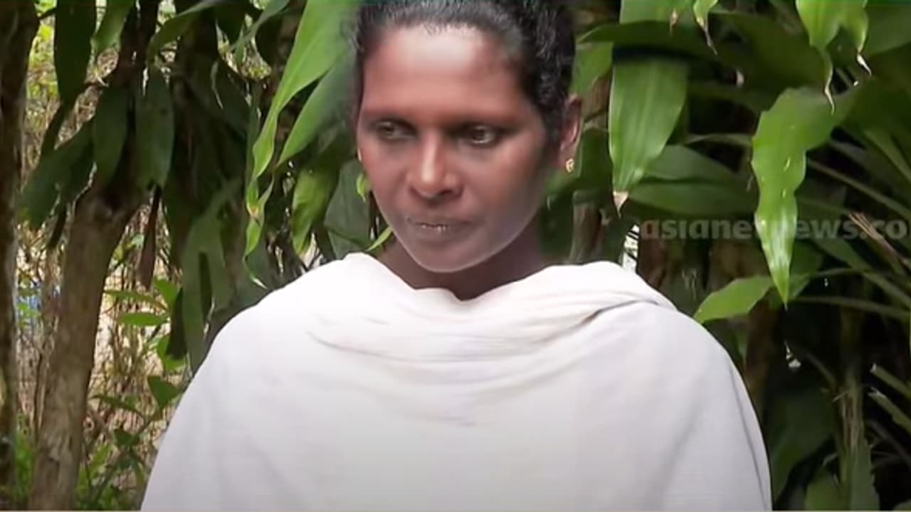 fake theft case fake theft case