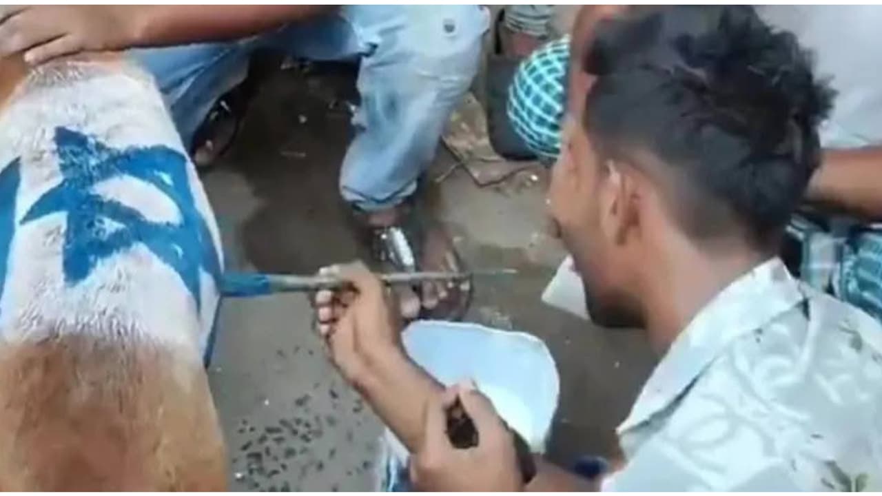 Bangladesh Bangladesh