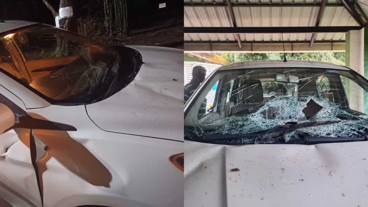 elephant attack wayanad 