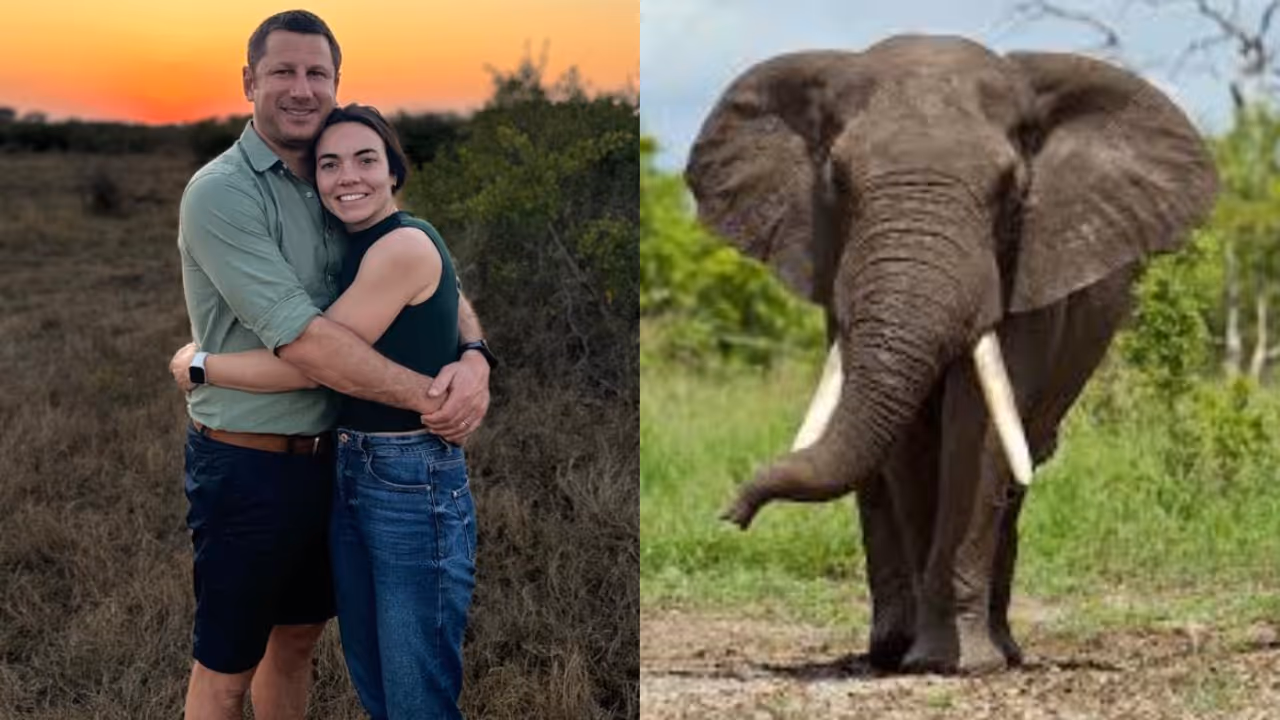 Francois Christiaan Conradie Francois Christiaan Conradie