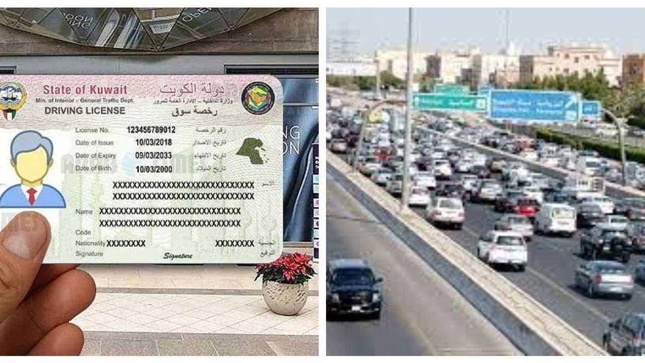 driving license driving license