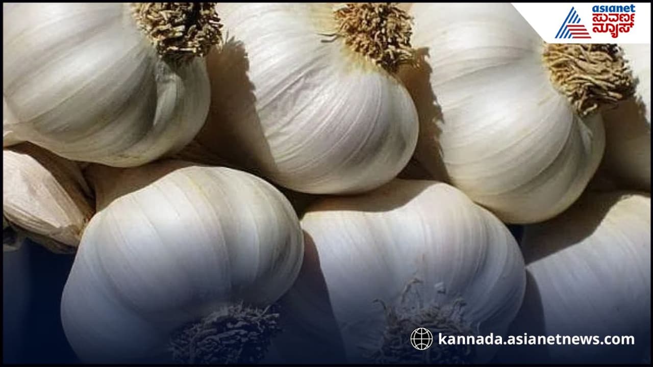 Garlic Peel Garlic Peel