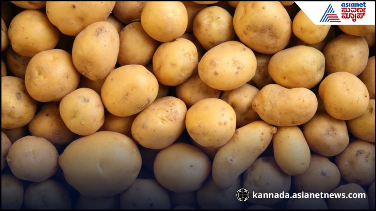 Potato Potato