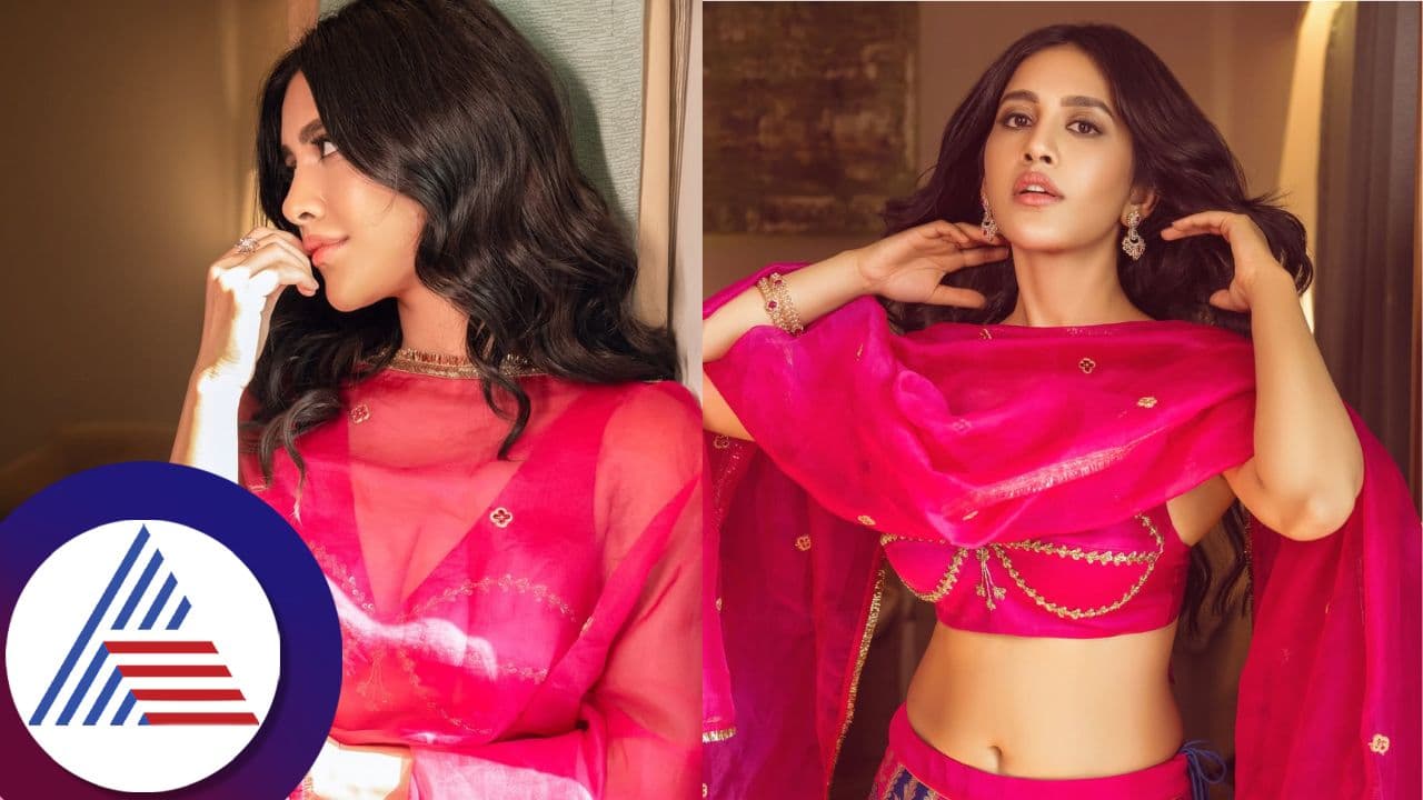 Nabha Natesh Nabha Natesh