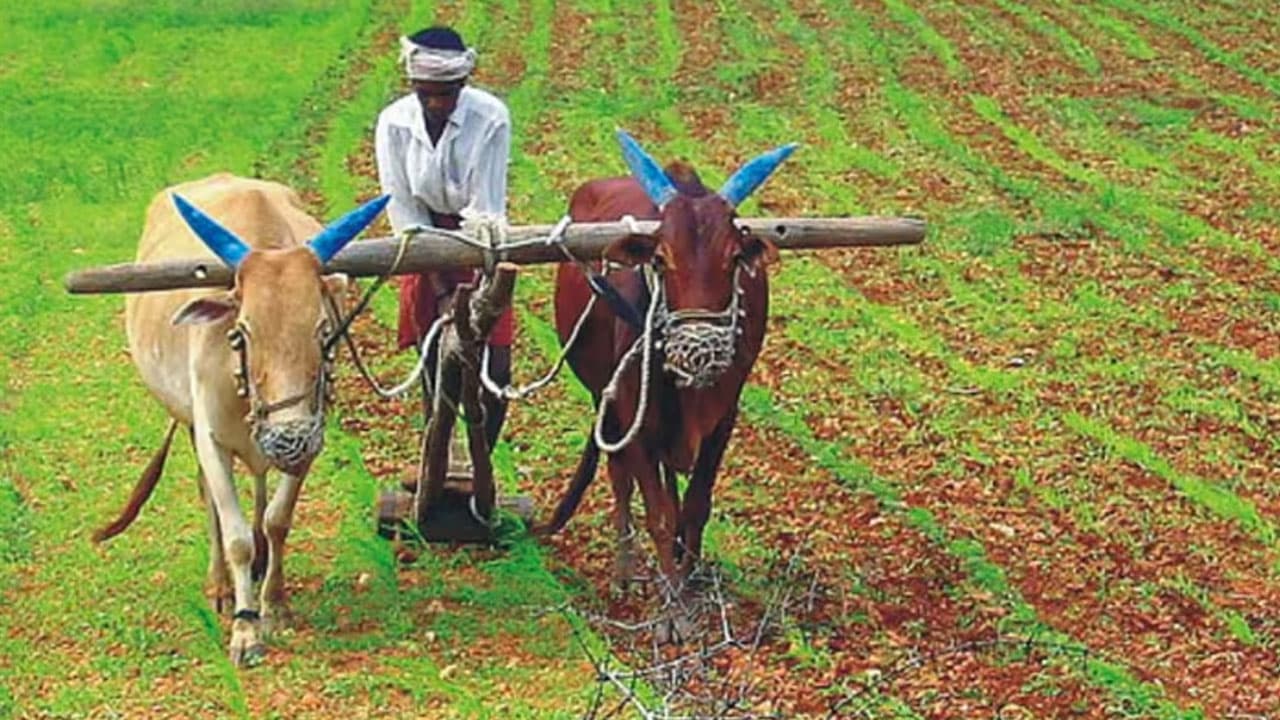 PM Kisan Yojana