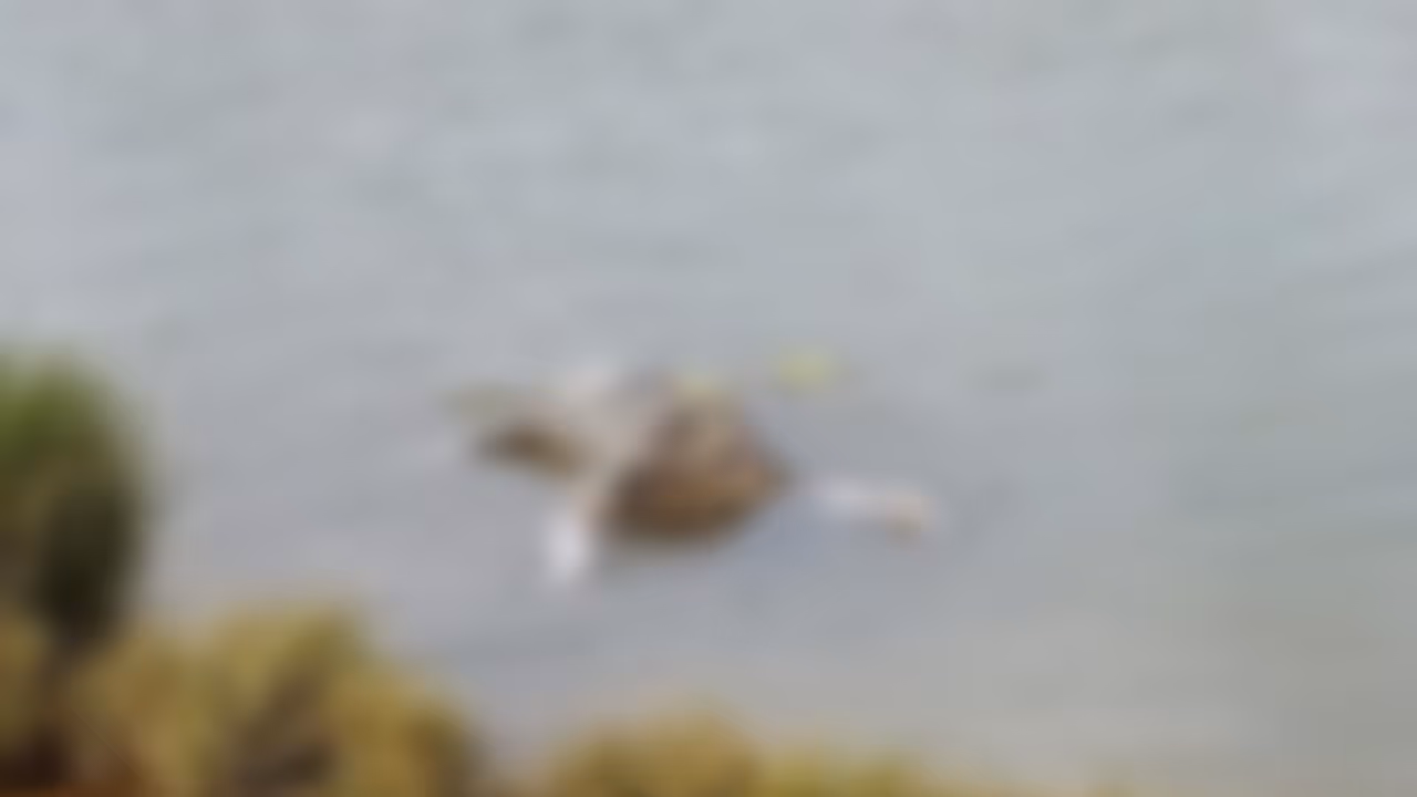 woman dead body woman dead body