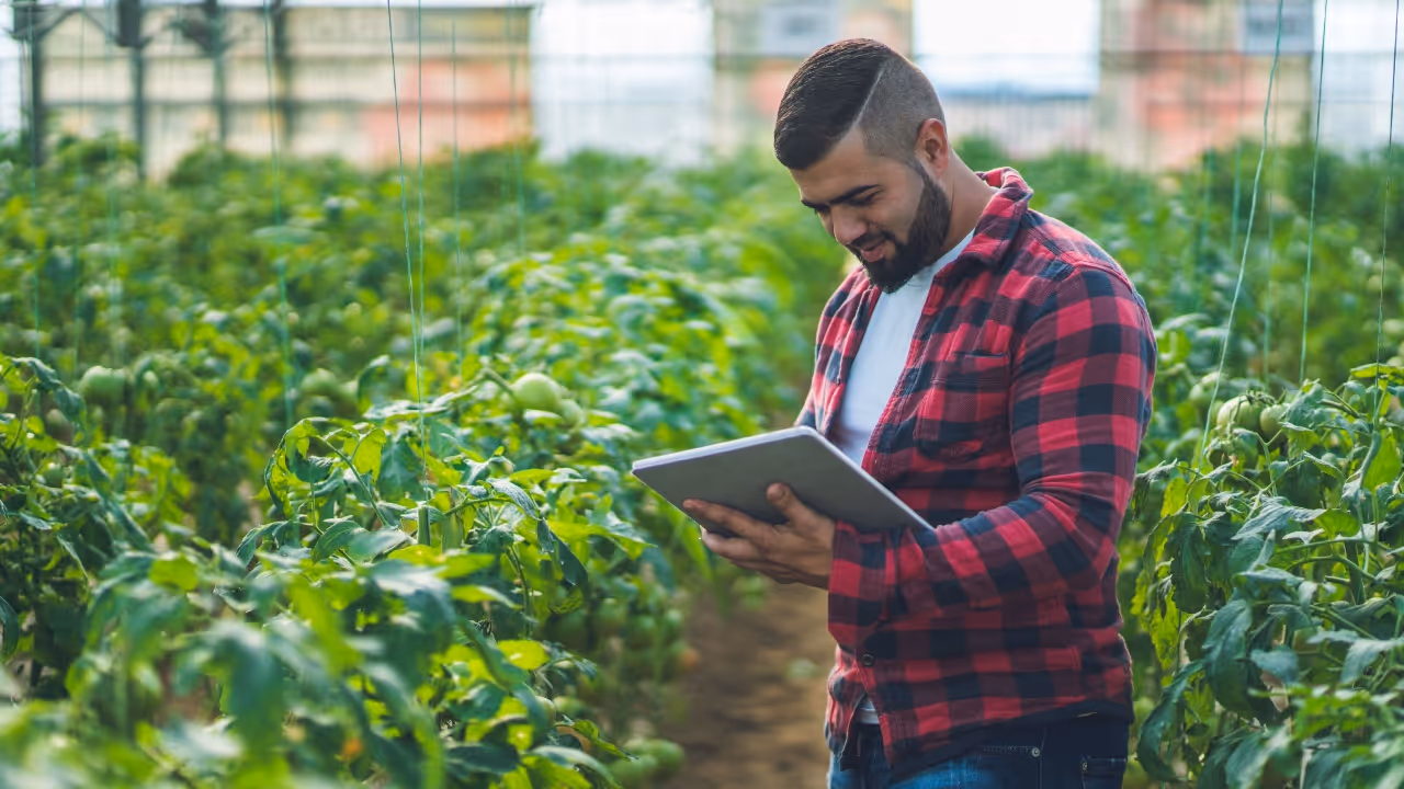 Bharat Vistar AI tool for agriculture Bharat Vistar AI tool for agriculture