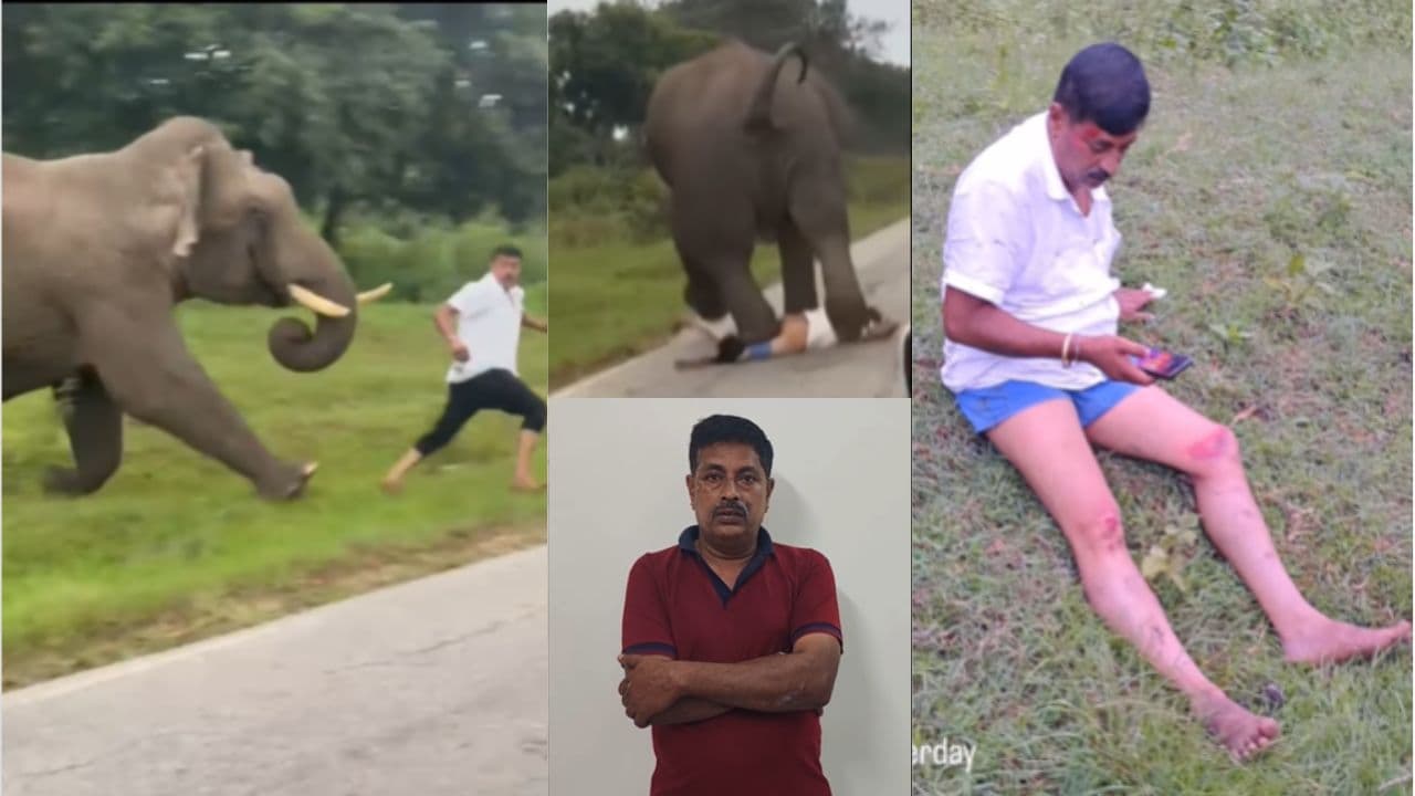 Chamarajanagar Elephant Attack Update