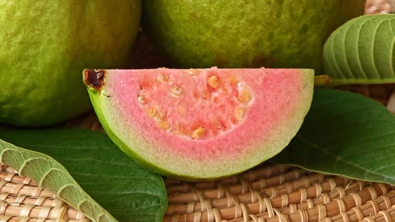 guava benefits in tamil guava benefits in tamil