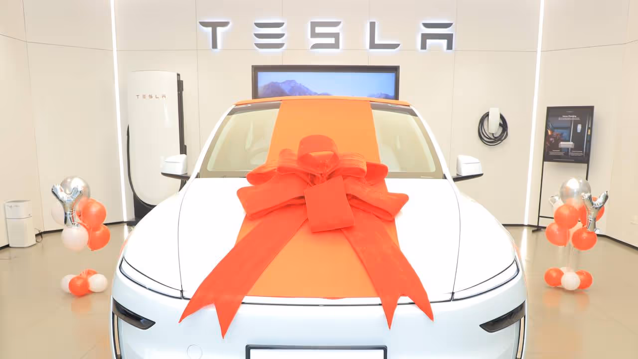 Tesla India, Tesla India Safety, Tesla India Sales Tesla India, Tesla India Safety, Tesla India Sales