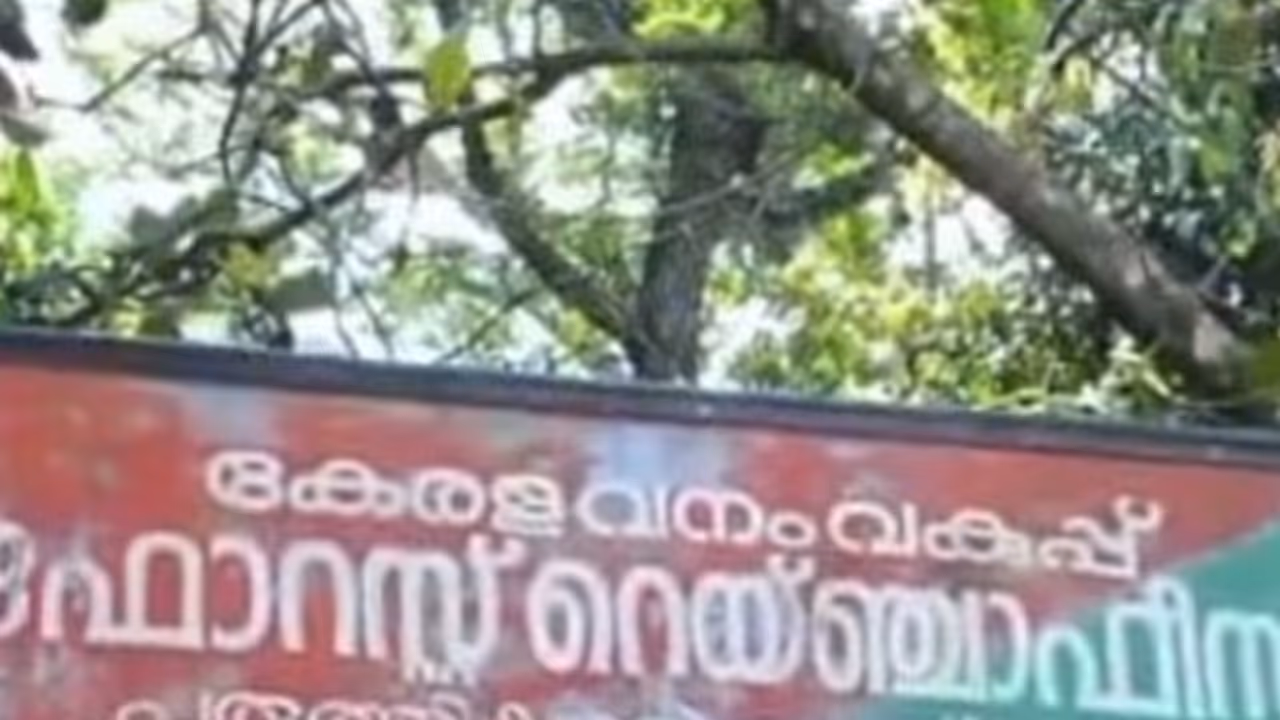 forest department forest department