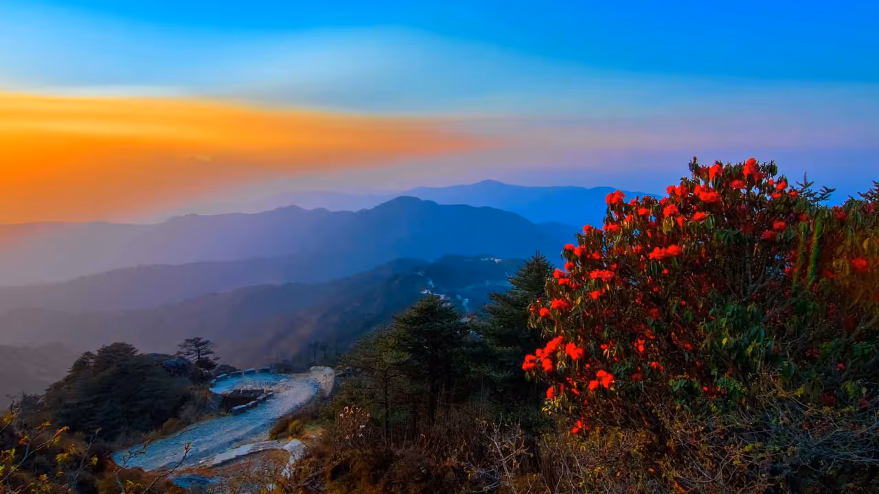 Darjeeling Darjeeling