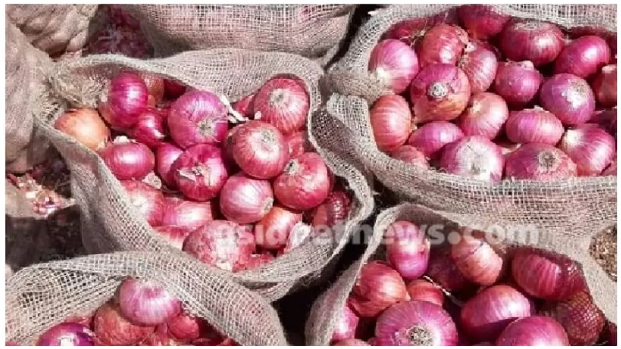 onion price hike onion price hike
