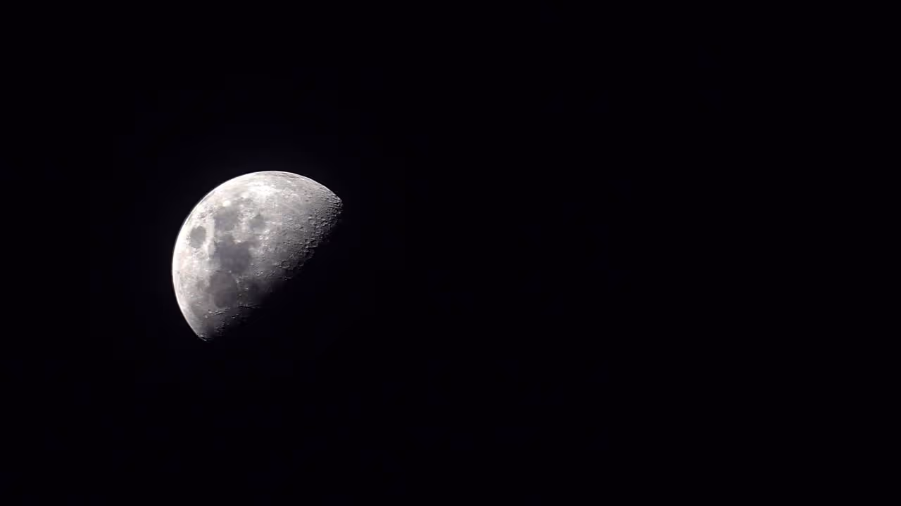 moon moon
