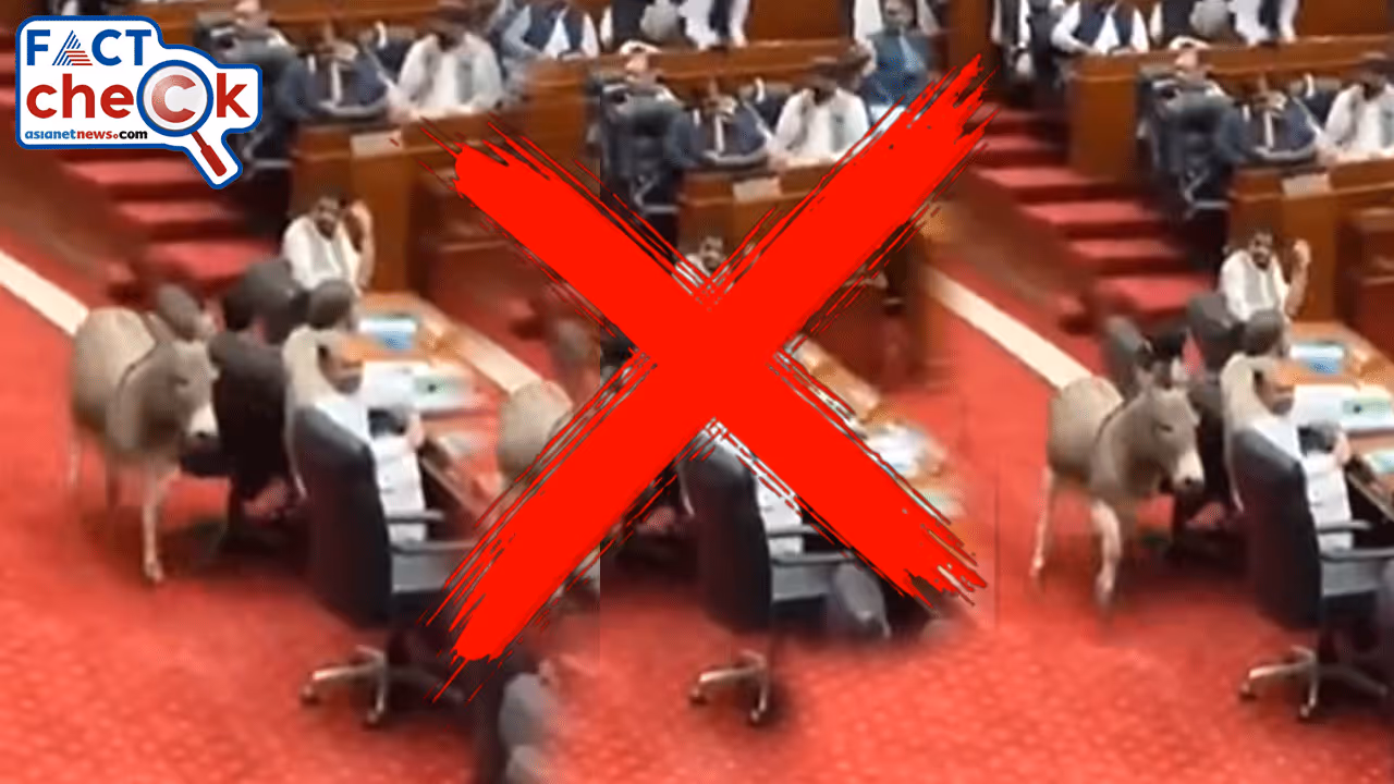 AI Generated Video of Donkey in Pakistan Parliament 