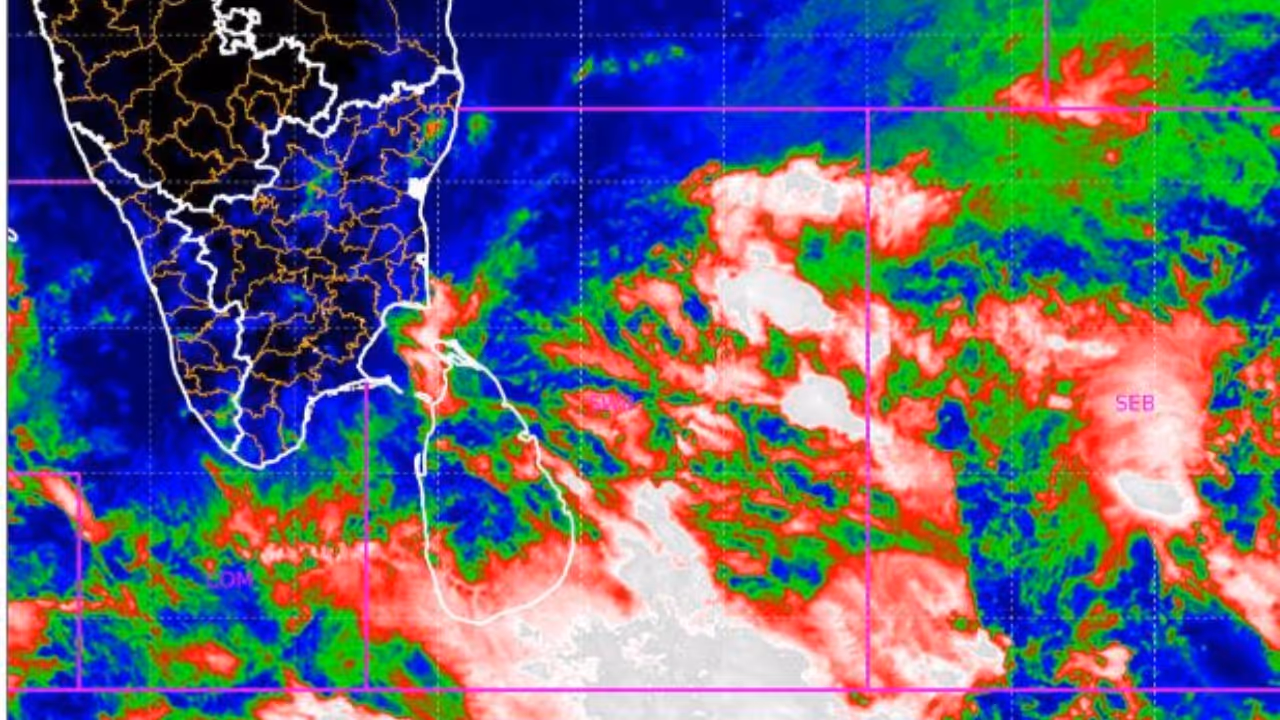 kerala rain kerala rain