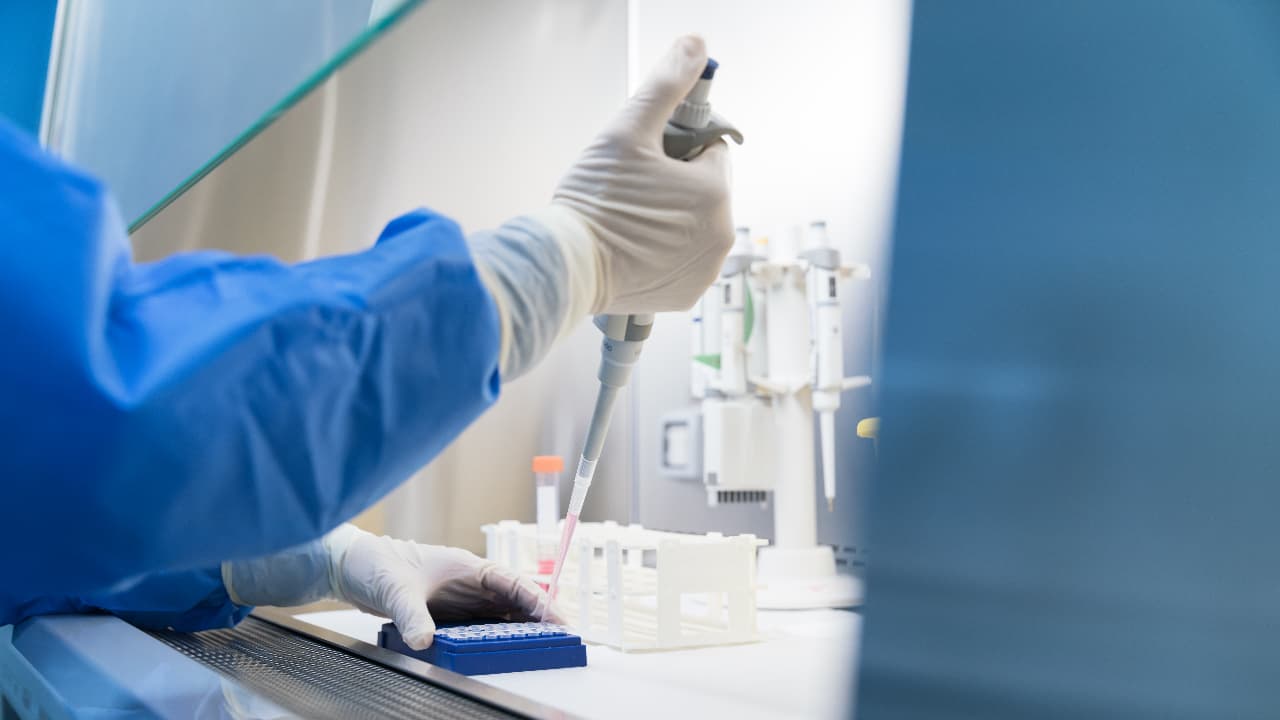 Lab Technician Vacancy Lab Technician Vacancy